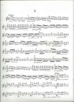 Вивальди А. Концерт для двух скрипок с оркестром a-moll_Страница_13.jpg