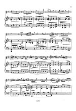 Вивальди А. Концерт для скрипки g-moll RV 317_Страница_03.jpg