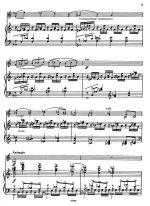 Вила-Лобос Э. Соната-фантазия №1_Страница_06.jpg