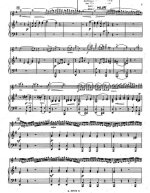 Виотти Дж. Концерт №23 для скрипки и фортепиано (I часть)_Страница_05.jpg