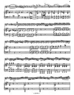 Виотти Дж. Концерт №23 для скрипки и фортепиано (I часть)_Страница_07.jpg