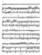 Виотти Дж. Концерт №23 для скрипки и фортепиано (I часть)_Страница_08.jpg