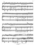 Виотти Дж. Концерт №23 для скрипки и фортепиано (I часть)_Страница_09.jpg