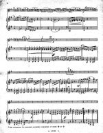 Виотти Дж. Концерт №23 для скрипки и фортепиано (I часть)_Страница_10.jpg