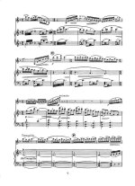 Воан Уильямс Р. The Lark Ascending для скрипки и фортепиано_Страница_09.jpg