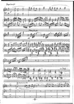 Володин В. Фантазия для скрипки и фортепиано_Страница_3.jpg