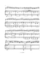 Вьетан А. Концерт №7 для скрипки_Страница_06.jpg