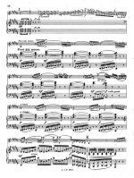 Вьетан А. Фантазия-аппассионата для скрипки и фортепиано op.35_Страница_010.jpg