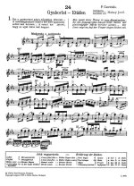 Гавинье П. 24 этюда_Страница_004.jpg