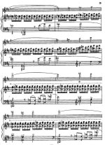 Гайгерова В. Ноктюрн_Страница_04.jpg