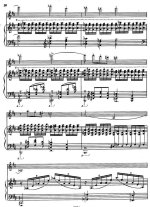 Гайгерова В. Ноктюрн_Страница_05.jpg