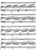 Гайгерова В. Ноктюрн_Страница_06.jpg