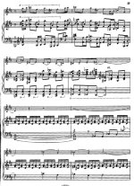 Гайгерова В. Ноктюрн_Страница_08.jpg