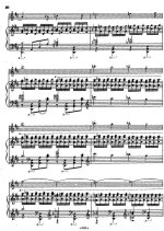 Гайгерова В. Ноктюрн_Страница_09.jpg