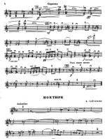 Гайгерова В. Ноктюрн_Страница_10.jpg