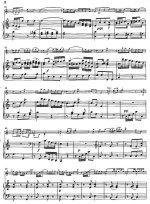 Гайдн Й. Концерт C-dur_Страница_02.jpg