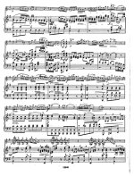 Гайдн Й. Концерт G-dur_Страница_06.jpg