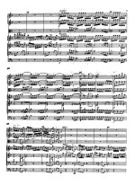 Гайдн Й. Концерт для скрипки и фортепиано с камерным оркестром_Страница_05.jpg