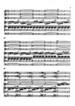 Гайдн Й. Концерт для скрипки и фортепиано с камерным оркестром_Страница_07.jpg