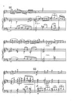 Глушков П. Концерт для скрипки с оркестром (На основе украинских народных песен)_Страница_07.jpg