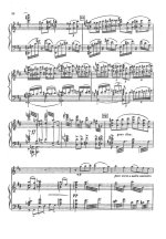 Глушков П. Концерт для скрипки с оркестром (На основе украинских народных песен)_Страница_09.jpg