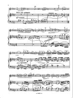 Гольденвейзер А. Поэма (дуэт) для скрипки и фортепиано_Страница_09.jpg