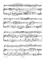 Гольденвейзер А. Поэма (дуэт) для скрипки и фортепиано_Страница_10.jpg