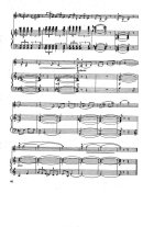 Гомоляка В. Карпатская легенда для скрипки и фортепиано_Страница_6.jpg