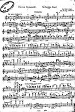 Григ Э. Песнь Сольвейг_Страница_4.jpg