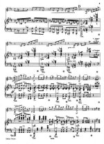 Григ Э. Свадебный день в Тролльхаугене для скрипки и фортепиано_Страница_04.jpg