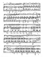 Григ Э. Соната №2 для скрипки и фортепиано G-dur op.13_Страница_03.jpg