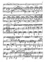 Григ Э. Соната №2 для скрипки и фортепиано G-dur op.13_Страница_04.jpg