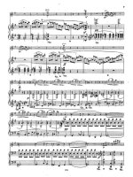 Григ Э. Соната №2 для скрипки и фортепиано G-dur op.13_Страница_06.jpg