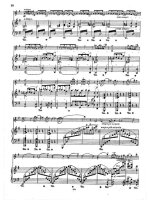 Григ Э. Соната №2 для скрипки и фортепиано G-dur op.13_Страница_09.jpg