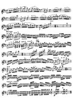 Данкля Ш. Вариации на тему Беллини_Страница_08.jpg