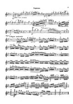 Данкля Ш. Вариации на тему Доницетти_Страница_8.jpg