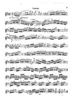 Данкля Ш. Вариации на тему Меркаданте_Страница_8.jpg