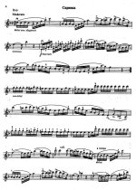 Данкля Ш. Вариации на тему Паччини_Страница_8.jpg