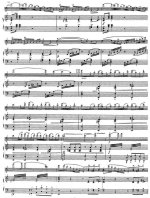 Данкля Ш. Концертное соло №3_Страница_2.jpg