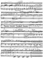 Данкля Ш. Концертное соло №3_Страница_3.jpg