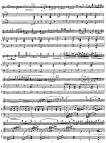 Данкля Ш. Концертное соло №3_Страница_4.jpg