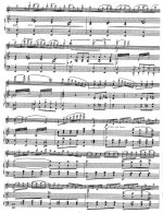 Данкля Ш. Концертное соло №3_Страница_5.jpg