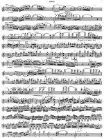 Данкля Ш. Концертное соло №3_Страница_8.jpg