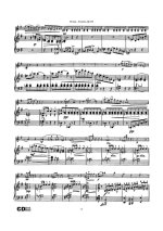 Дворжак А. Сонатина для скрипки и фортепиано_Страница_03.jpg