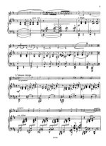 Дворжак А. Цыганская песня для скрипки и фортепиано_Страница_07.jpg