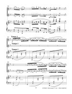 Дворжак А. Юмореска для двух скрипок и фортепиано_Страница_5.jpg