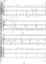 Джоплин С. Bethena_Страница_8.jpg