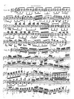 Джулиани М. Вариации для скрипки и гитары_Страница_07.jpg