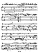 Донаньи Э. Концерт №1 для скрипки op.27_Страница_06.jpg