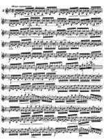 Донт Я. Этюды_Страница_07.jpg